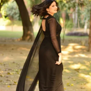 Black Chiffon Georgette Saree